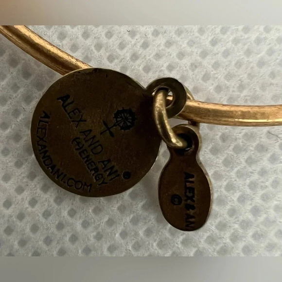 Alex and Ani | Lighthouse charm bracelet. - Picture 6 of 11